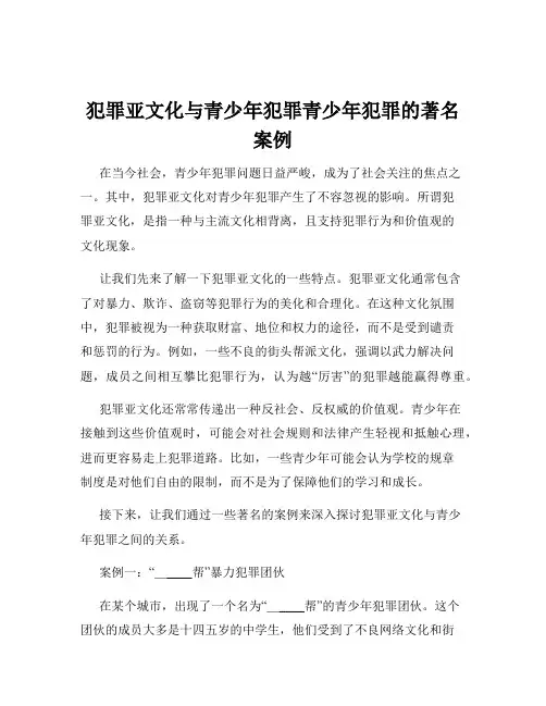 犯罪亚文化与青少年犯罪青少年犯罪的著名案例