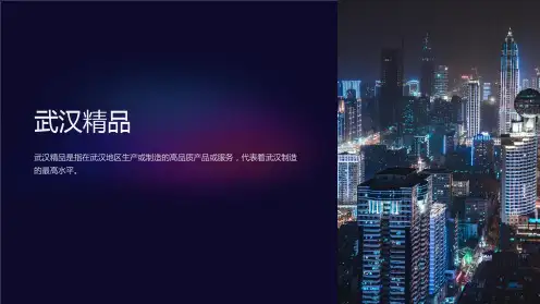 《中国武汉》课件