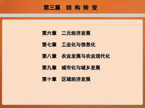 第九章城市化与城乡发展发展经济学PPT课件