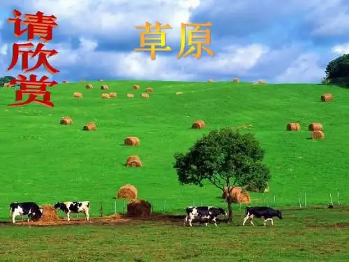 【高中语文】西地平线上ppt精品课件32