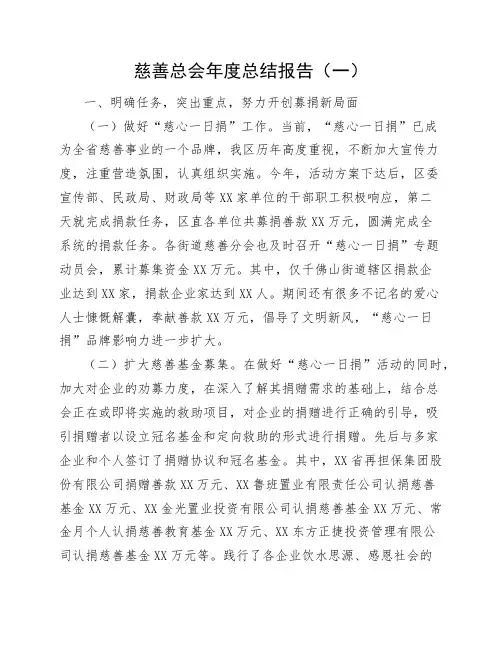 慈善总会年度总结报告四篇