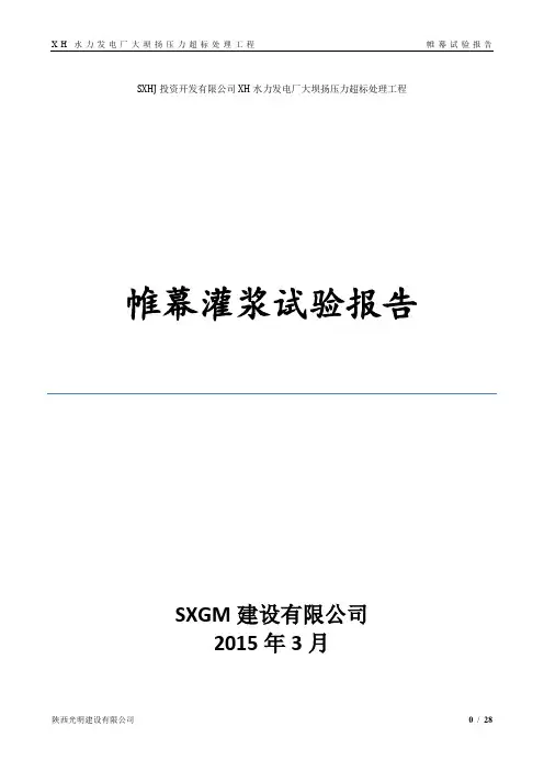 帷幕灌浆试验报告