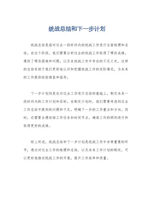 统战总结和下一步计划