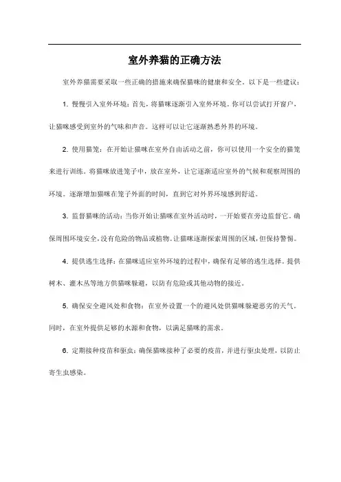 室外养猫的正确方法