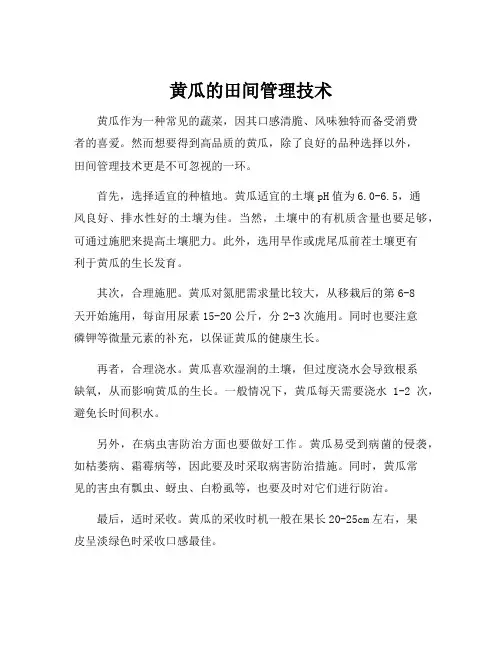 黄瓜的田间管理技术