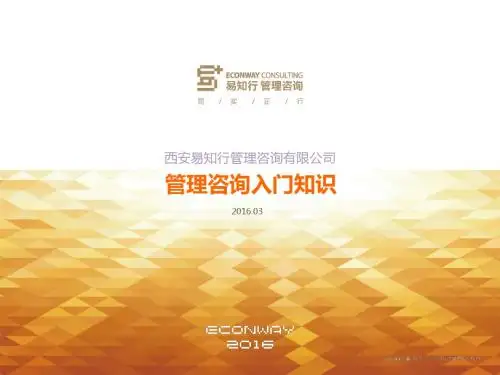 管理咨询入门知识