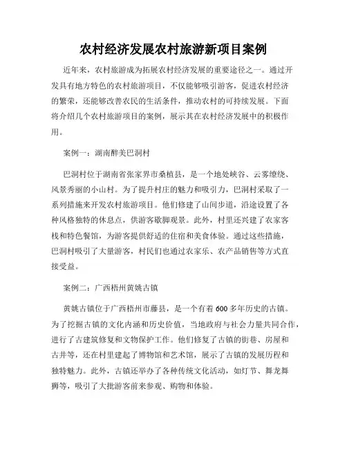 农村经济发展农村旅游新项目案例