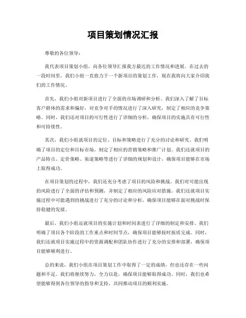 项目策划情况汇报