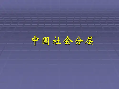 社会学课件中国社会分层