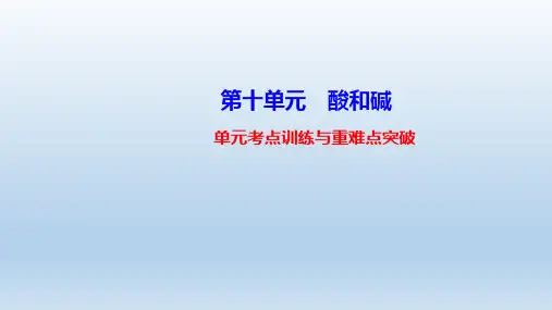 化学九年级下册第10单元 课件 新人教版(付,149页)