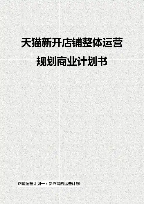 天猫电商新开店铺整体运营规划商业计划书