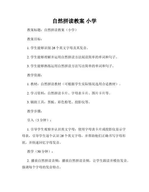 自然拼读教案 小学