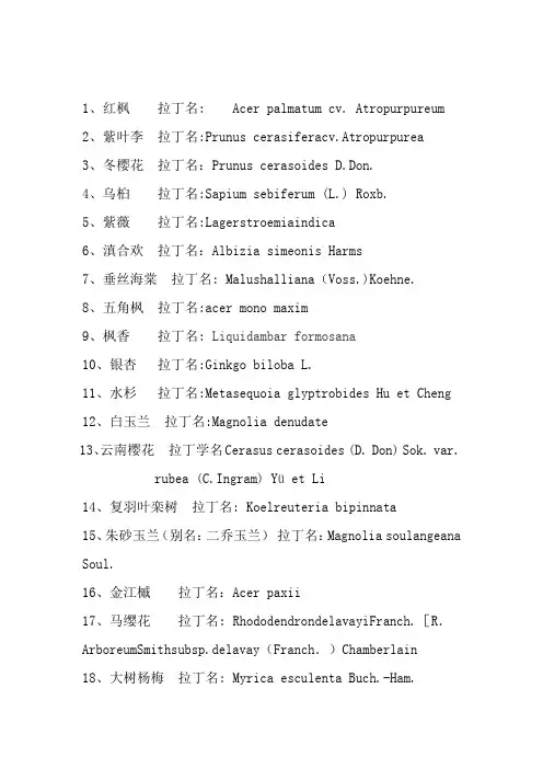 拉丁名