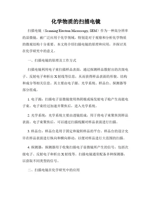 化学物质的扫描电镜