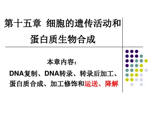 分子生物学课件：第十五章-细胞的遗传活动和蛋白质生物合成