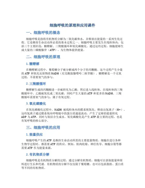 细胞呼吸的原理和应用课件