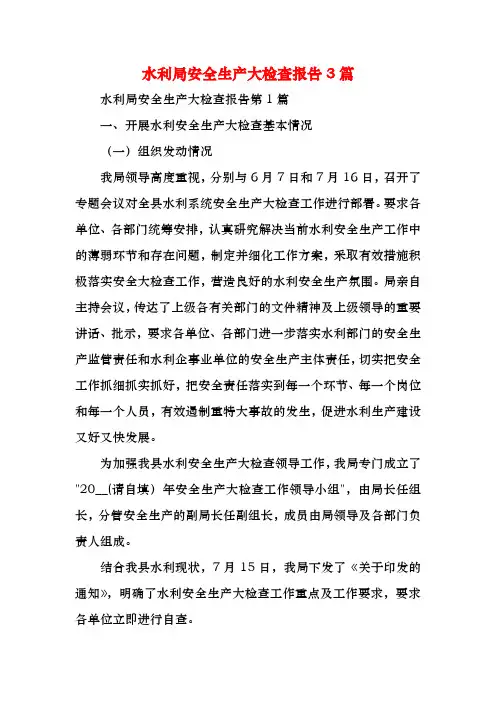 水利局安全生产大检查报告3篇