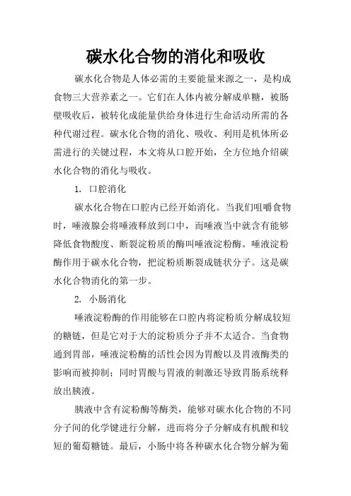碳水化合物的消化和吸收
