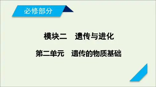 新高考2021高考生物一轮复习第2单元遗传的物质基础第3讲基因的表达课末总结课件新人教版