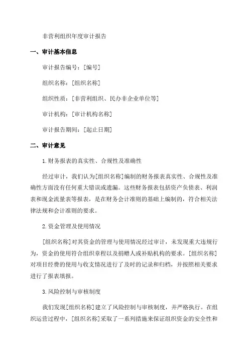 民办非企业单位年度审计报告模版