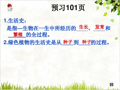 种子萌发形成幼苗ppt课件