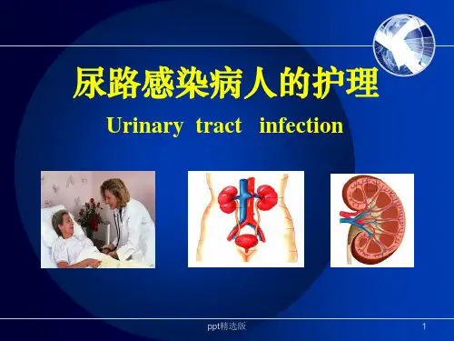 尿路感染护理ppt课件