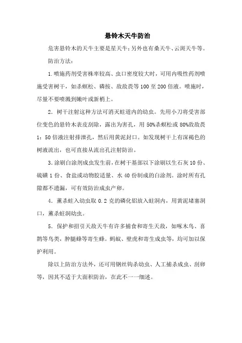 悬铃木天牛防治