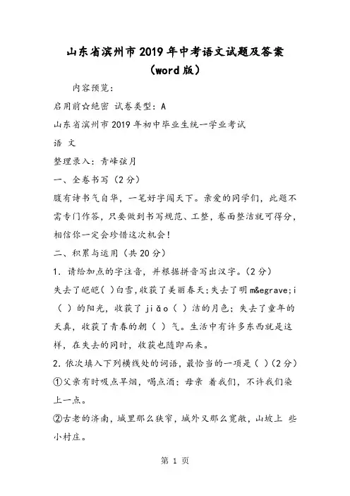 山东省滨州市中考语文试题及答案(word版)