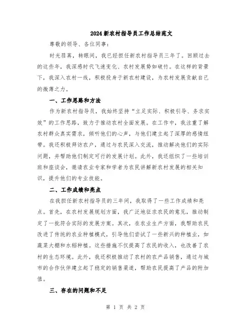 2024新农村指导员工作总结范文