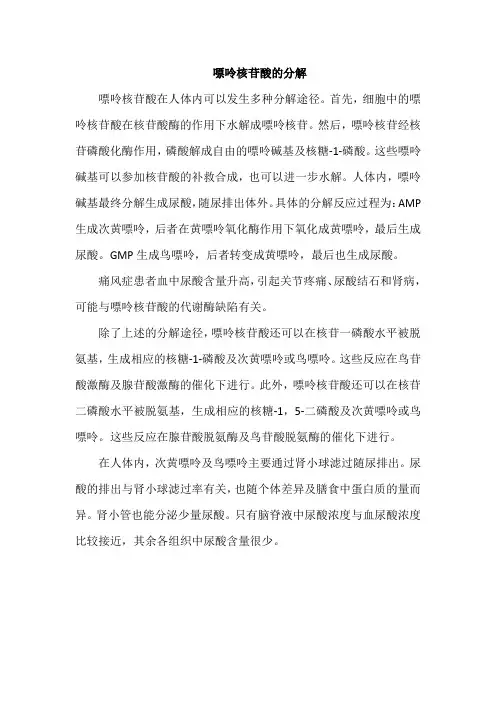 嘌呤核苷酸的分解