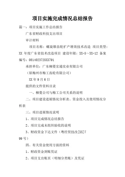 项目实施完成情况总结报告