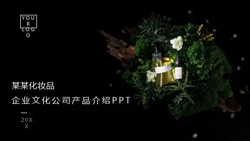 XX化妆品企业文化公司产品介绍PPT模板
