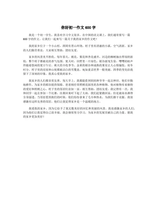 你好初一作文600字
