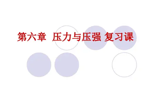 沪教版(上海)九年级上册物理 第六章 压力与压强 复习课件(共53张ppt)