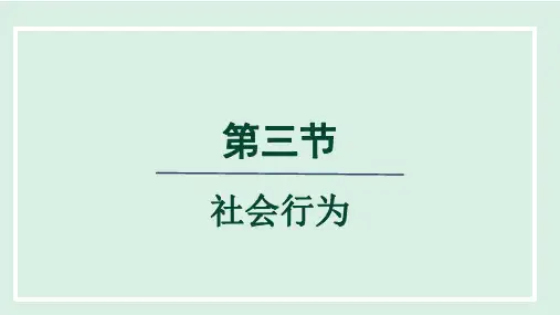 第五单元 第二章 第三节 社会行为 课件 人教版生物八年级上册
