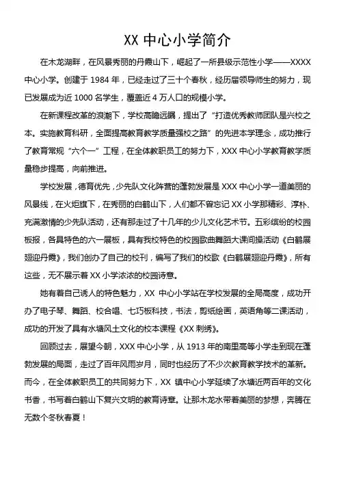 中心小学简介