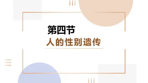 第四节人的性别遗传课件()(人教版生物)