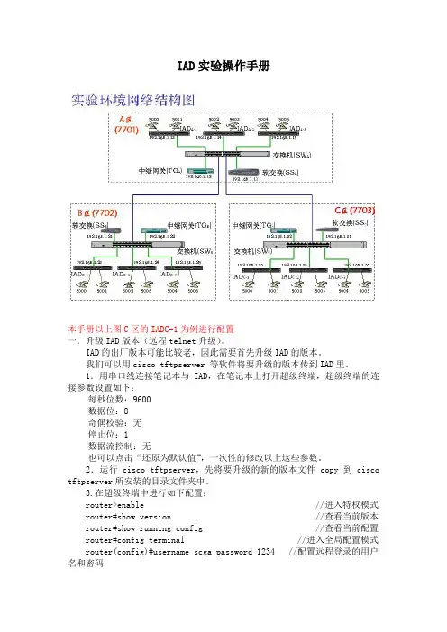 IAD实验操作手册