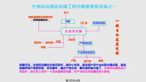 生物反应器设计基础PPT课件