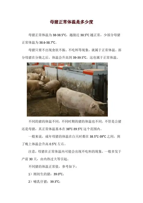 母猪正常体温是多少度