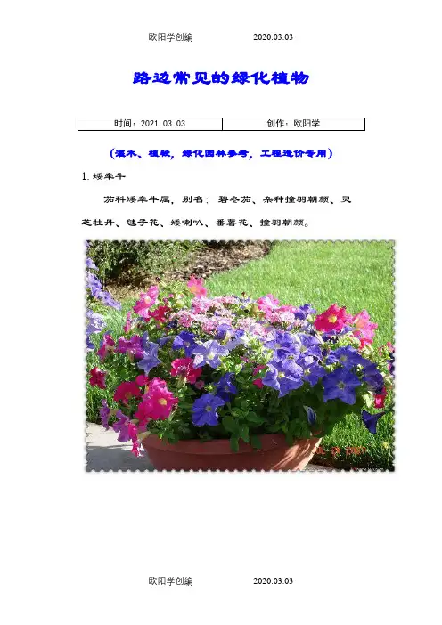 路边常见的绿化植物100余种(灌木、植被,绿化园林参考,工程造价专用)之欧阳学创编