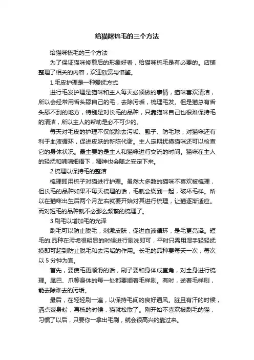 给猫咪梳毛的三个方法