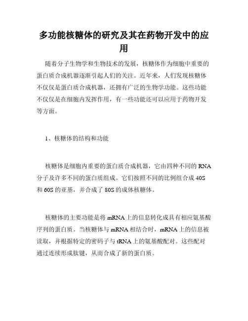 多功能核糖体的研究及其在药物开发中的应用