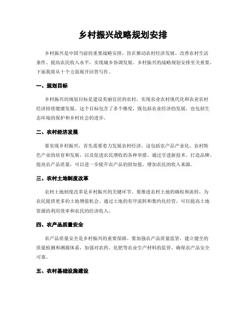 乡村振兴战略规划安排