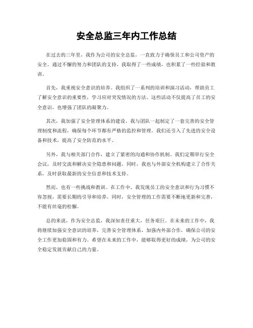 安全总监三年内工作总结