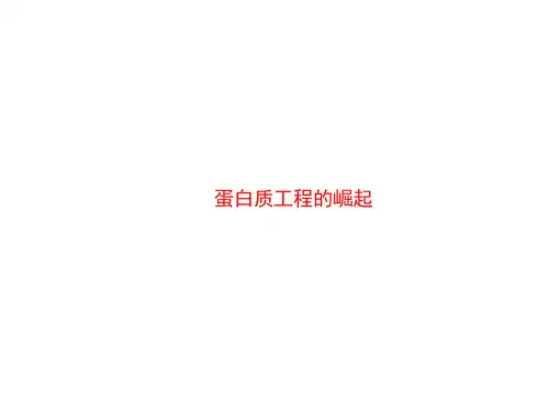 蛋白质工程的崛起   课件