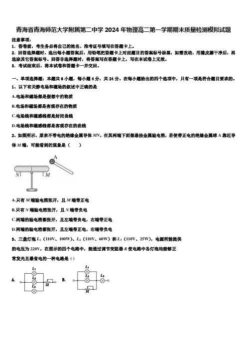 青海省青海师范大学附属第二中学2024年物理高二第一学期期末质量检测模拟试题含解析