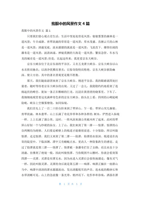 我眼中的风景作文4篇