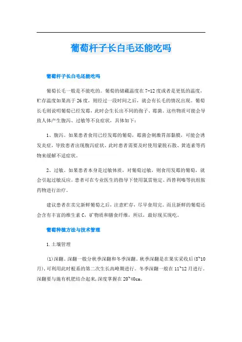 葡萄杆子长白毛还能吃吗