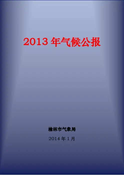 2013年陕西省榆林市最新气象水文公报地质资料专用